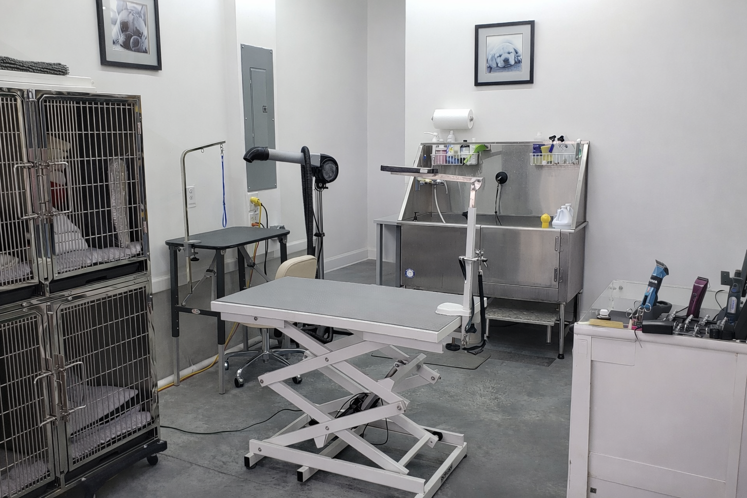 Rumiko Lane's professional grooming studio