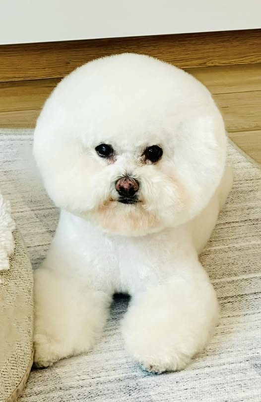 Cosmo looking fabulous